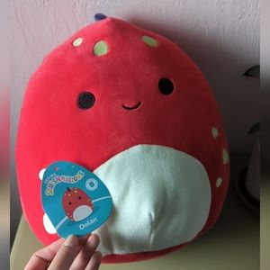 First to market Dolan squishmallow